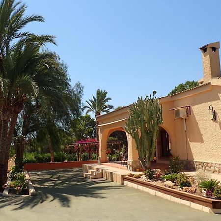 Villa Buganvilla เอลเช ภายนอก รูปภาพ