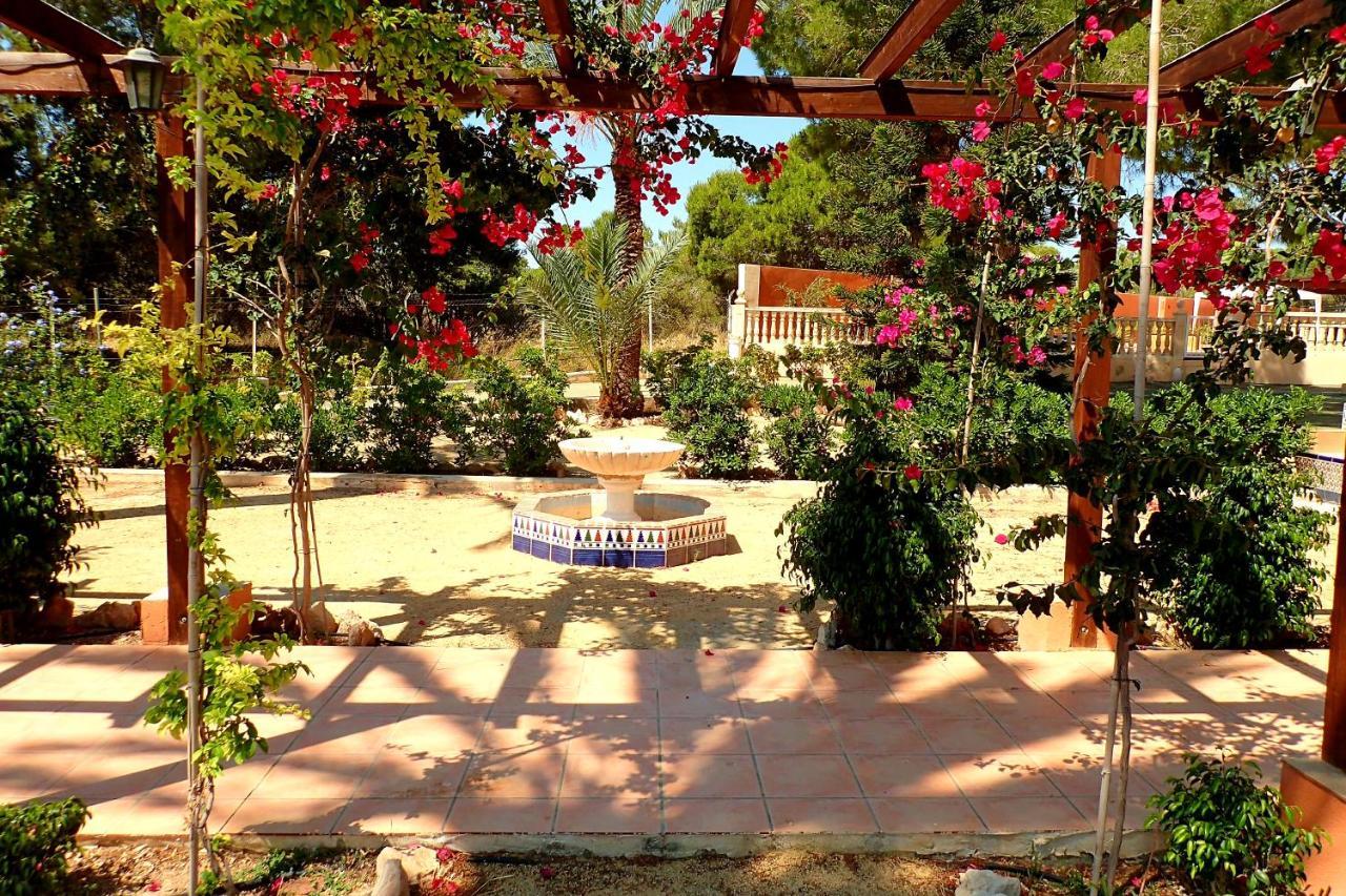 Villa Buganvilla เอลเช ภายนอก รูปภาพ